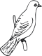 bird coloring page