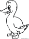 duckling coloring page
