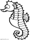 seahorse colouring page