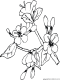 spring buds and cherry blossoms coloring page