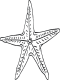 star fish coloring page