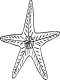 starfish coloring page