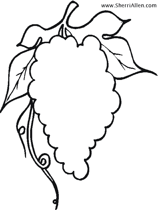 Download Free Fruit Coloring Pages from SherriAllen.com
